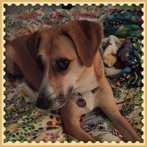 Meet your Posher, Rene